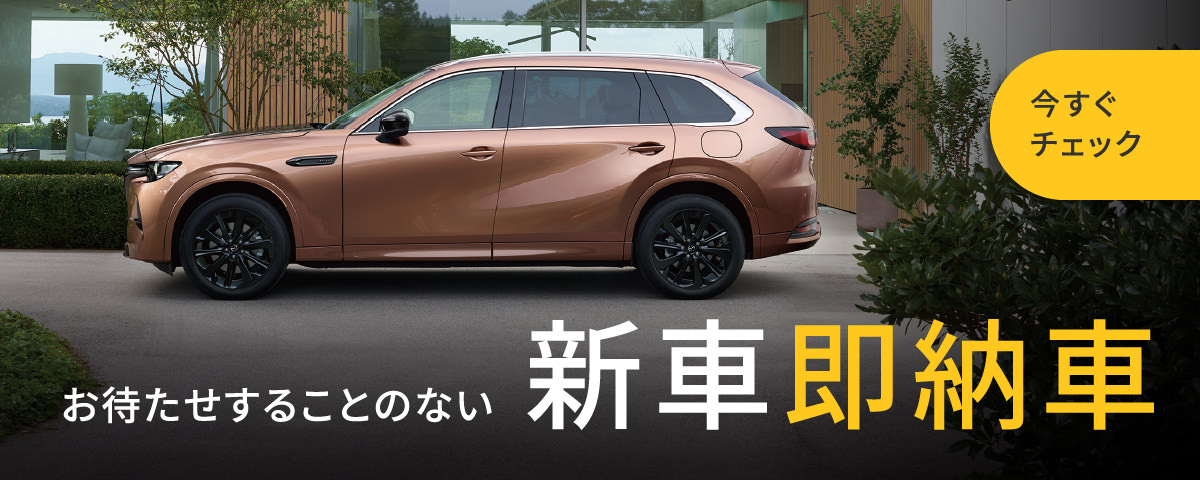 新車即納車